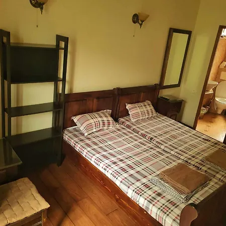 Amarilla Constanta